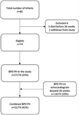 Serial tissue Doppler imaging in the evaluation of bronchopulmonary dysplasia-associated pulmonary hypertension among extremely preterm infants: a prospective observational study